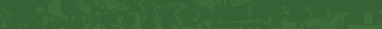 Imagen Federación