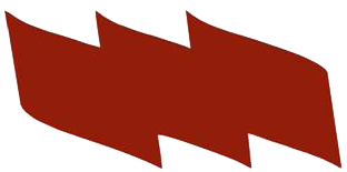 Bandera_TR