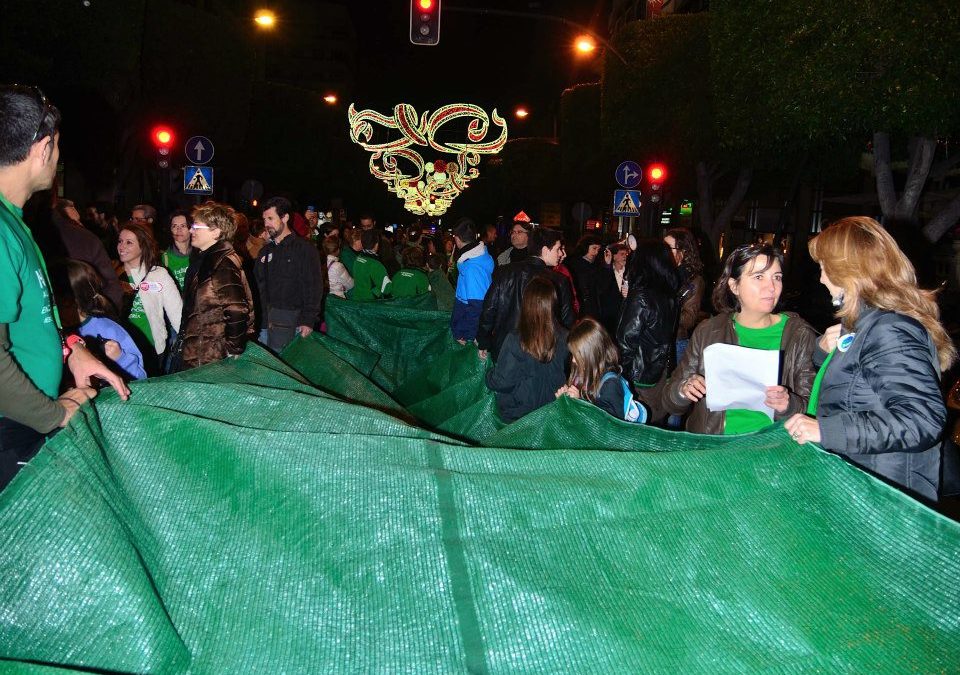 Manifestación en Almería contra los recortes y por la escuela pública 13-12-2012