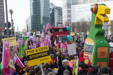 Berliner Agrar-Demo