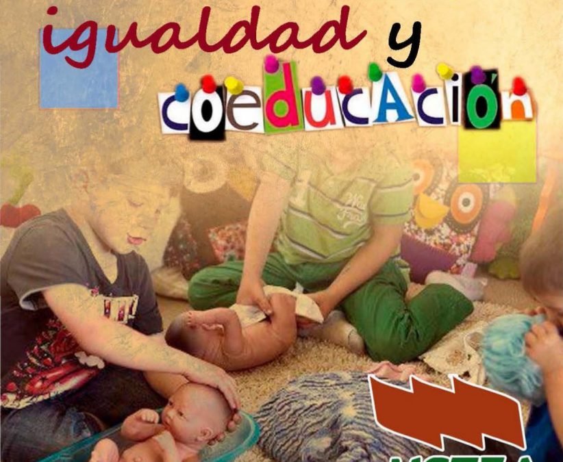 Análisis y valoración de la incidencia de los planes de igualdad y coeducación