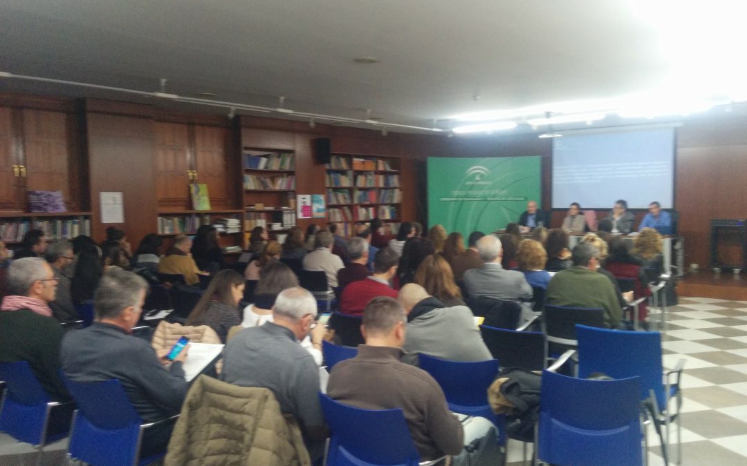 Pleno del Consejo Escolar Andaluz: Luz verde al dictamen sobre Proyecto de Decreto que regula el procedimiento para la selección, nombramiento, evaluación, formación y reconocimiento de directores y directoras de los centros docentes públicos no universitarios