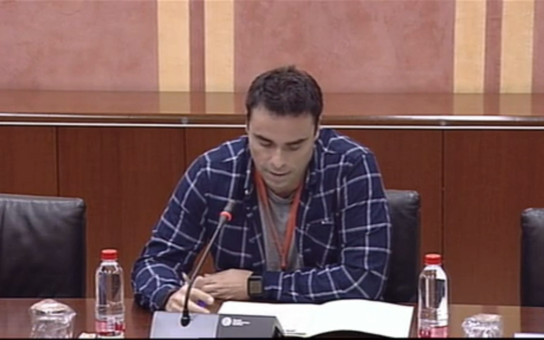 Comparecencia parlamentaria de USTEA. Presupuestos de la Comunidad Autónoma de Andalucía 2018
