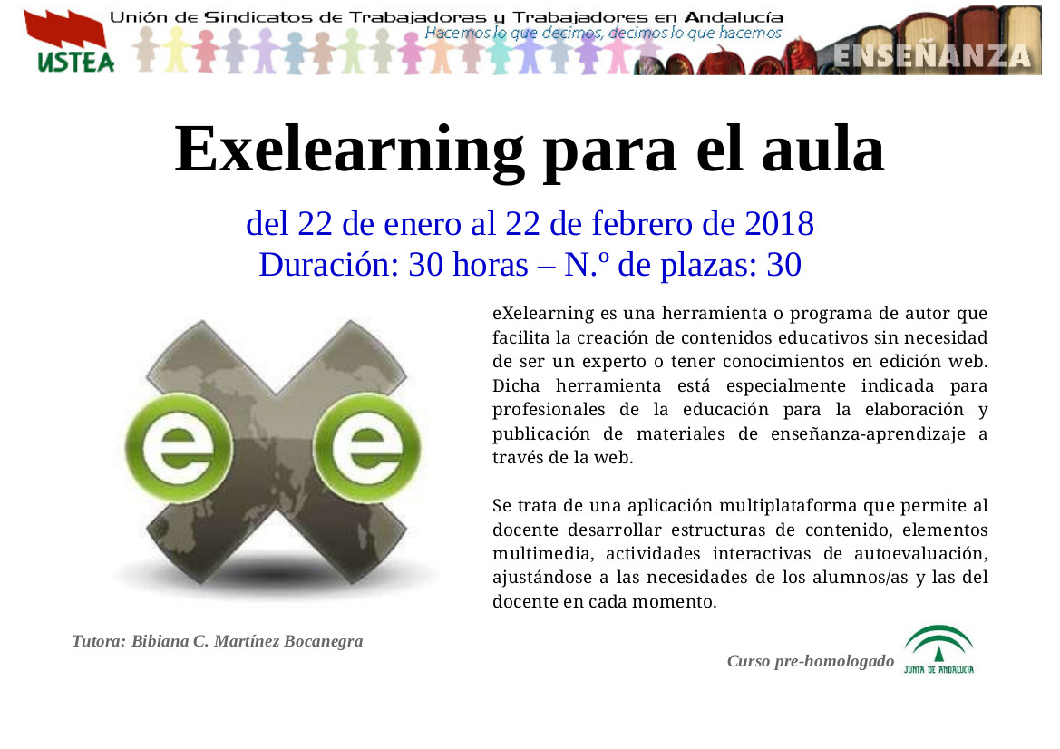 InformacionCursoExelearning