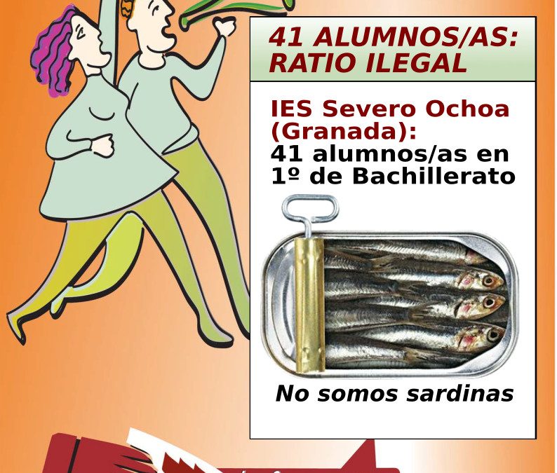 USTEA Denuncia. IES Severo Ochoa con 41 alumn@s en Bachillerato. RATIO ILEGAL