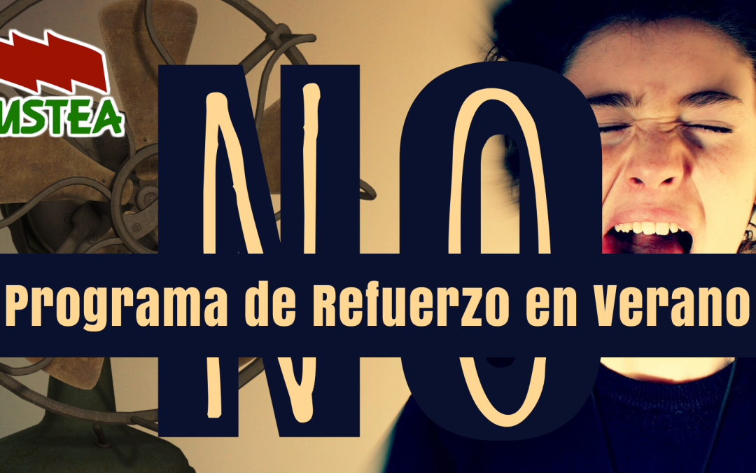 Programa de refuerzo educativo en verano: ocurrencia y farsa pedagógica. Informe Mesa Sectorial.