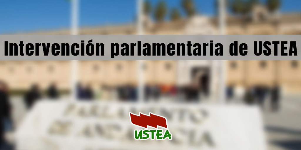 Intervención de USTEA en la comisión parlamentaria de Educación