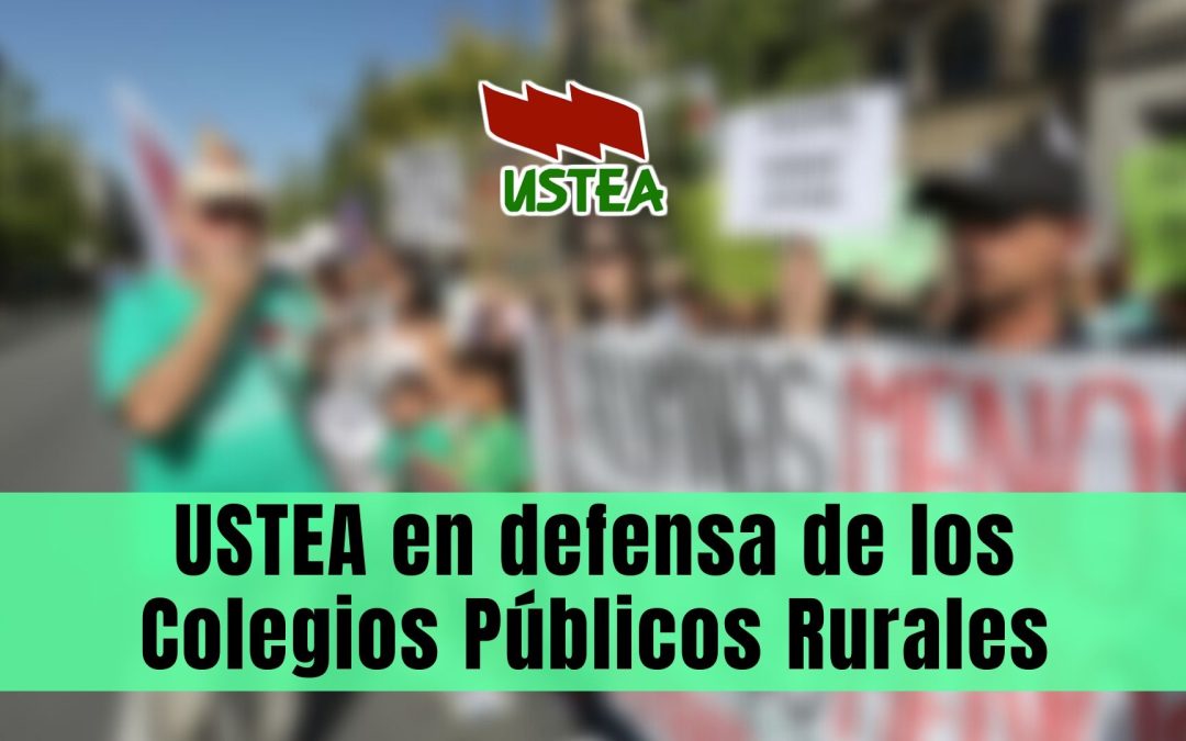 En defensa de los Colegios Públicos Rurales