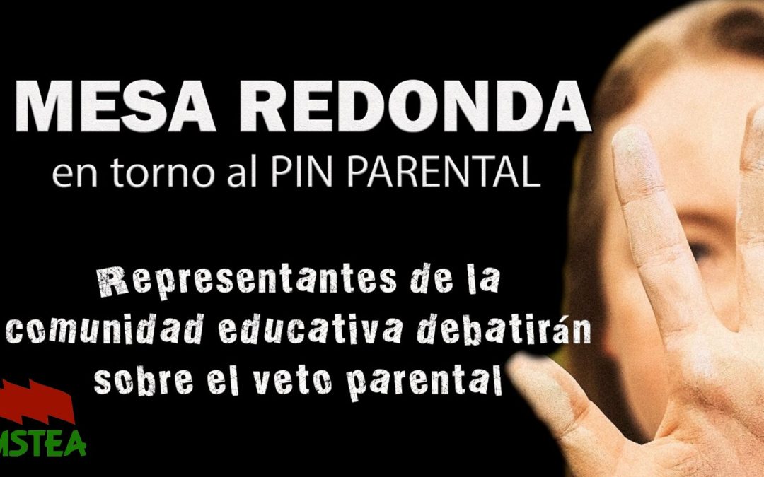 Mesa redonda en torno al PIN Parental