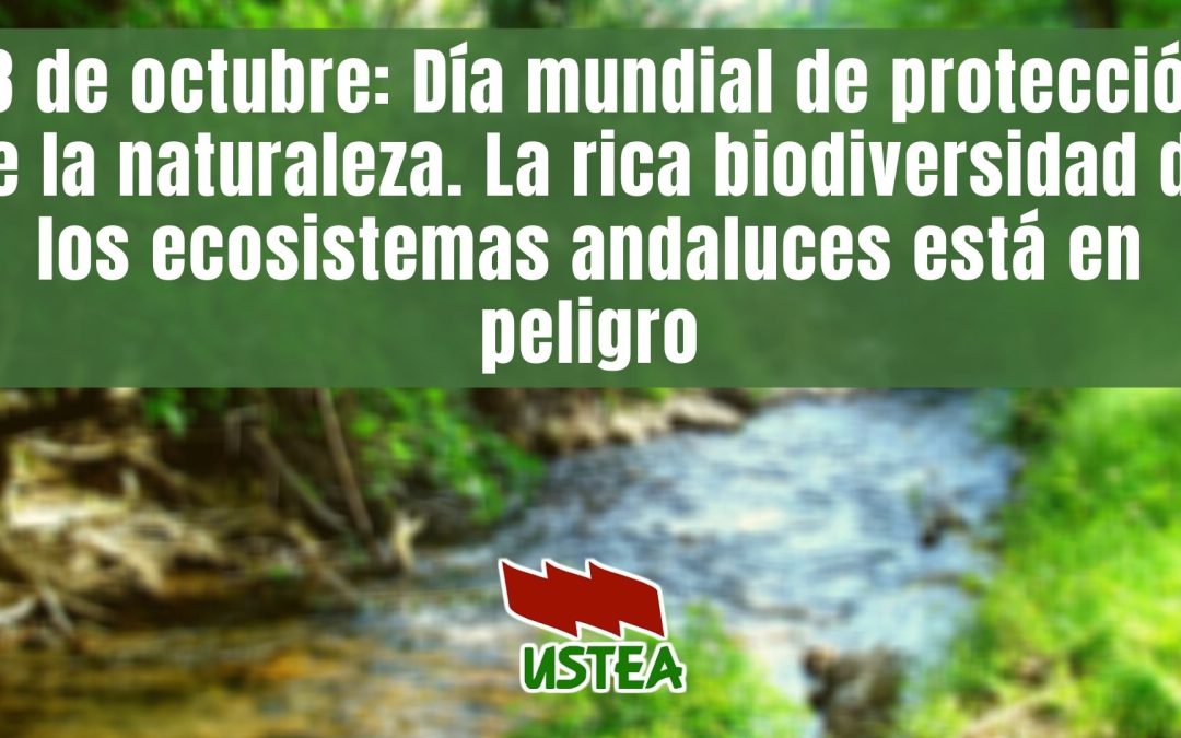 18 de octubre: Día mundial de protección de la naturaleza. La rica biodiversidad de los ecosistemas andaluces está en peligro