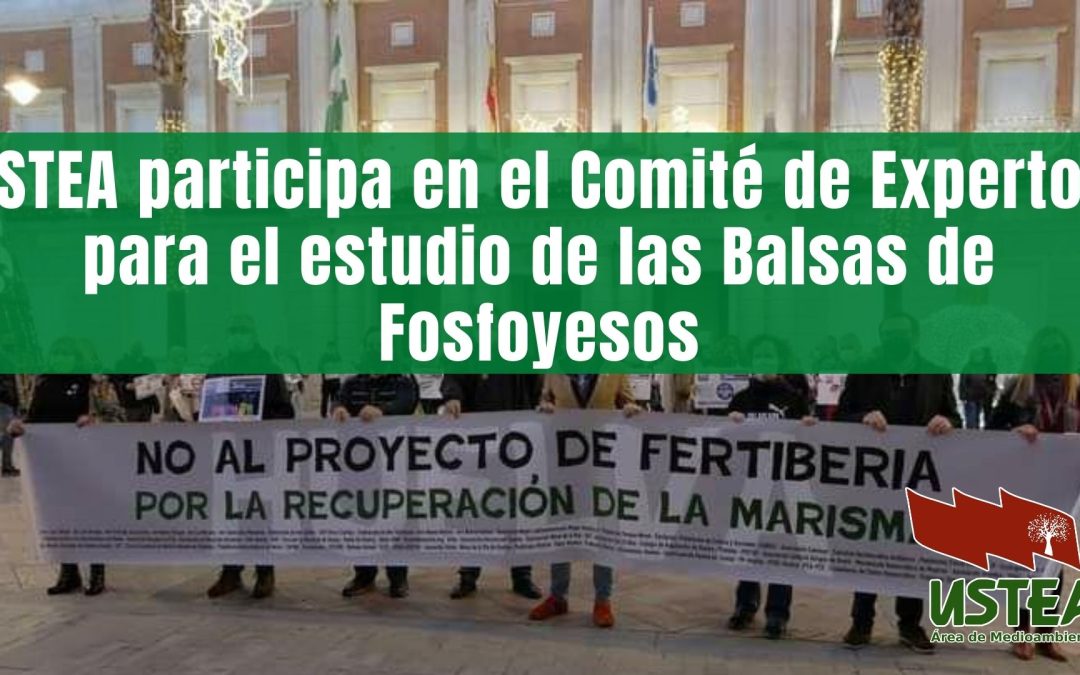 USTEA participa en el Comité de Expertos para el estudio de las Balsas de Fosfoyesos
