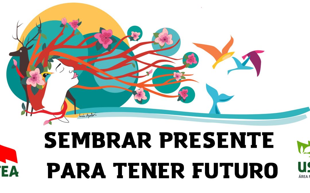 II Concurso de Experiencias Medioambientales