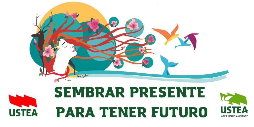 IV Concurso de Experiencias Medioambientales: Aulas Abiertas a Tu Entorno