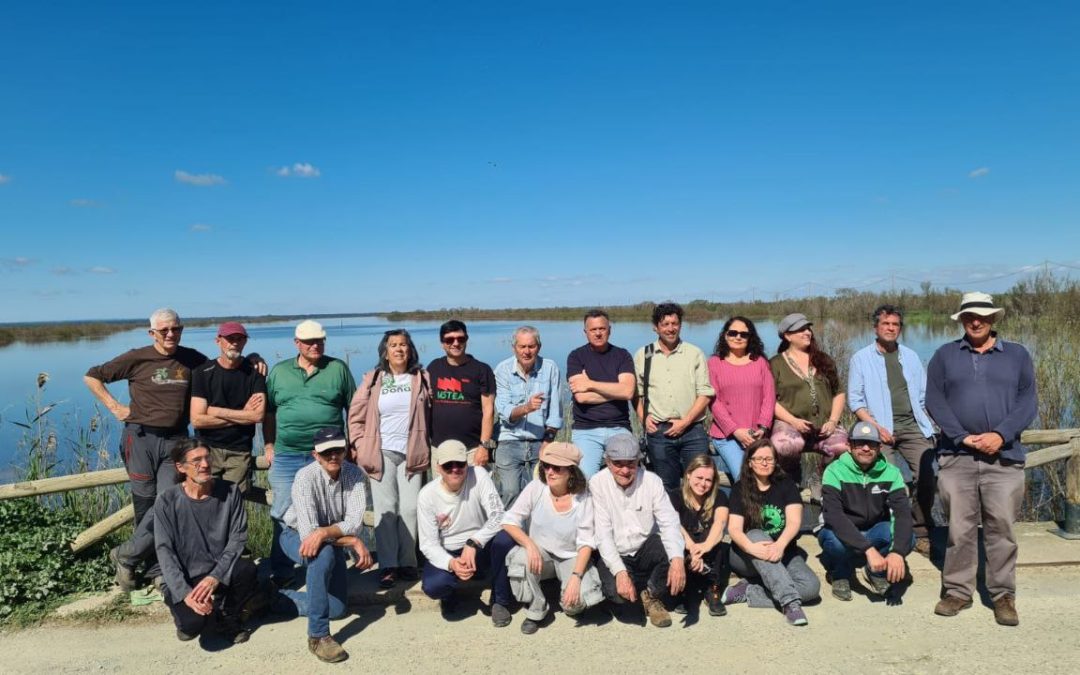 La Plataforma «Salvemos Doñana» pide al Gobierno y la Junta que impulsen la recuperación integral del río Guadiamar y lo incluyan en el Plan Nacional de Restauración