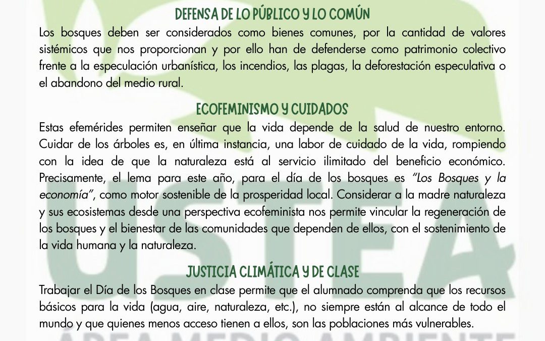 21 de marzo: Día de los BOSQUES